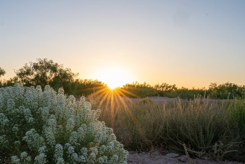 644 acres in Pecos County - photo 5