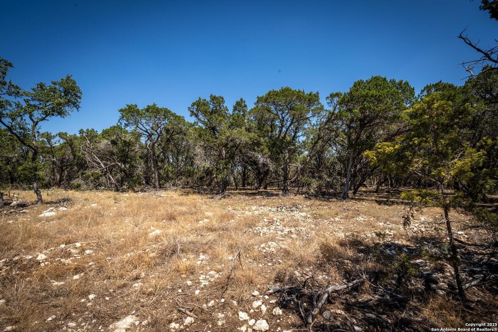 2.3 acres in Kendall County - photo 12
