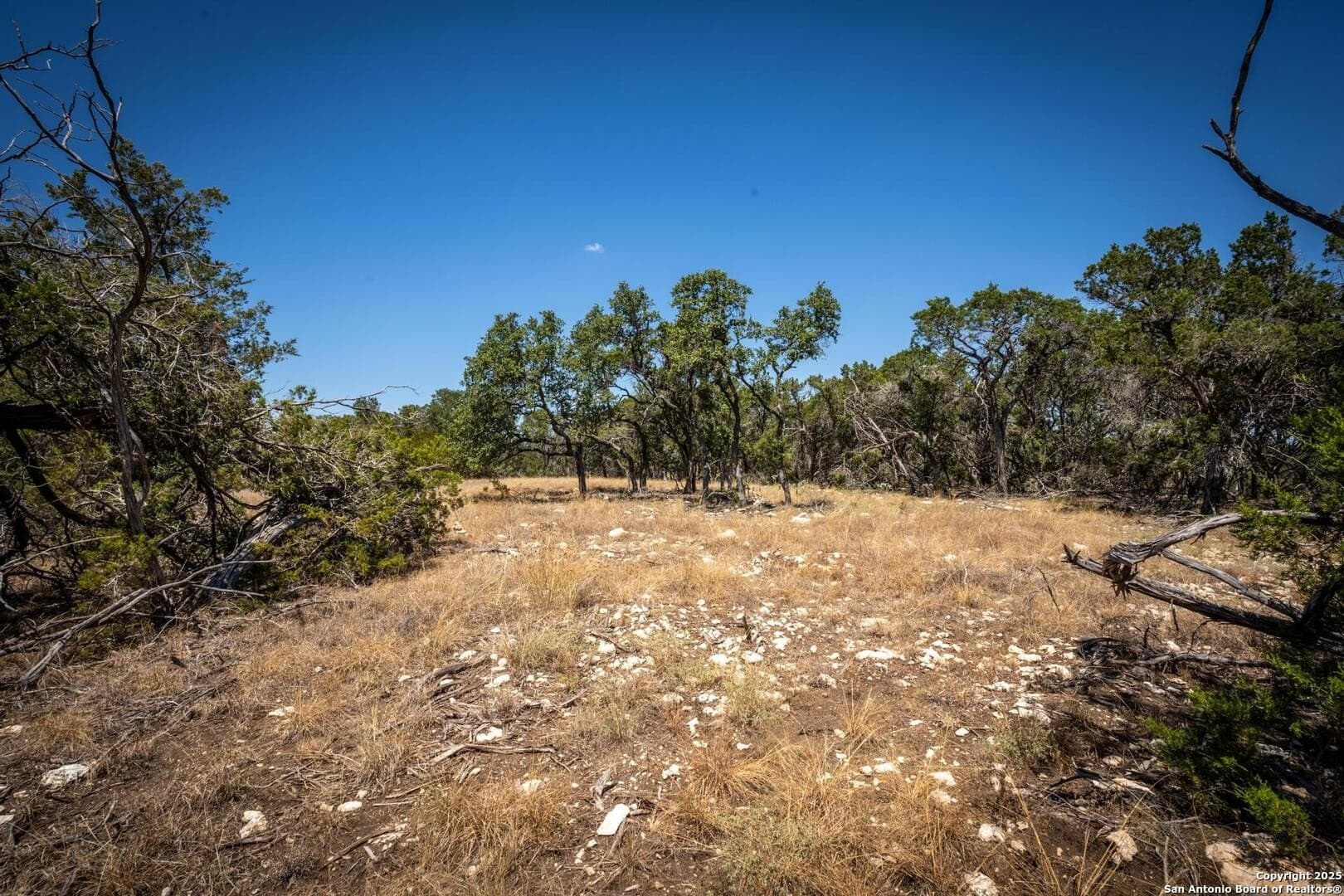 2.3 acres in Kendall County - photo 11