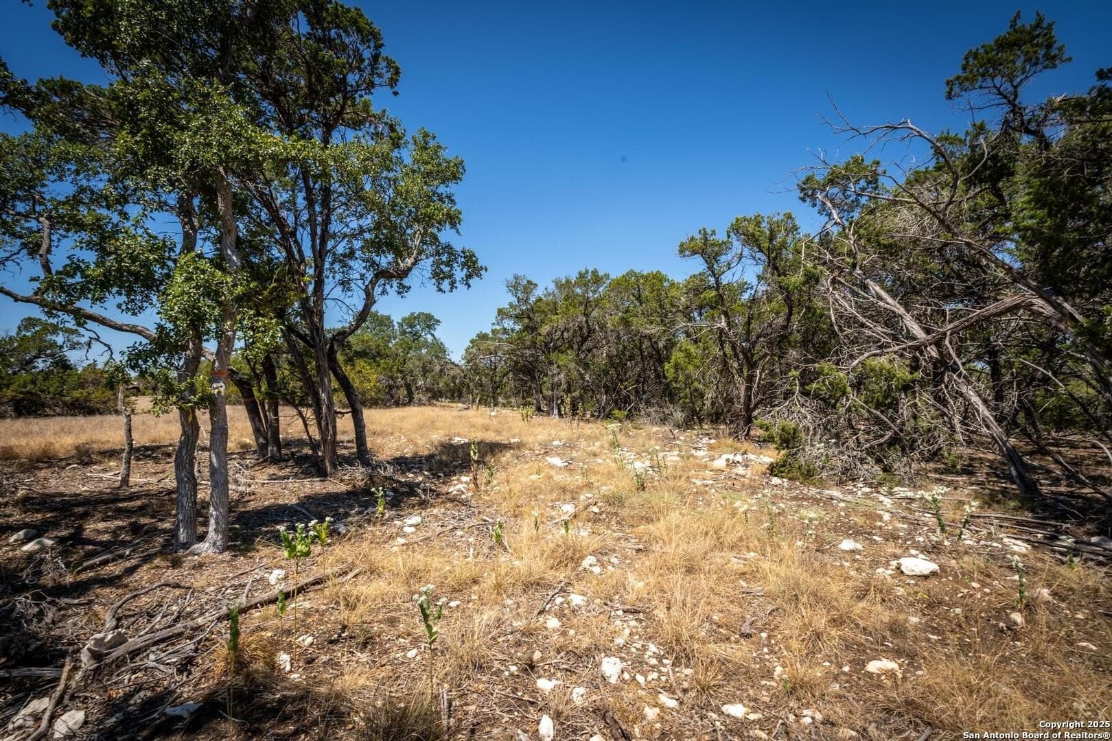 2.3 acres in Kendall County - photo 14