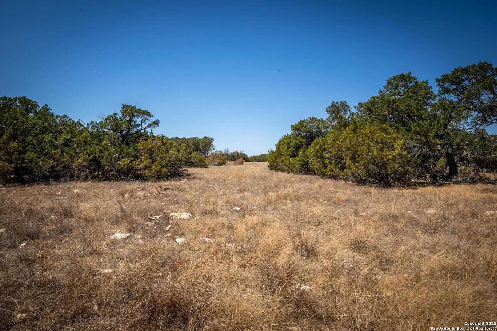 2.3 acres in Kendall County - photo 16