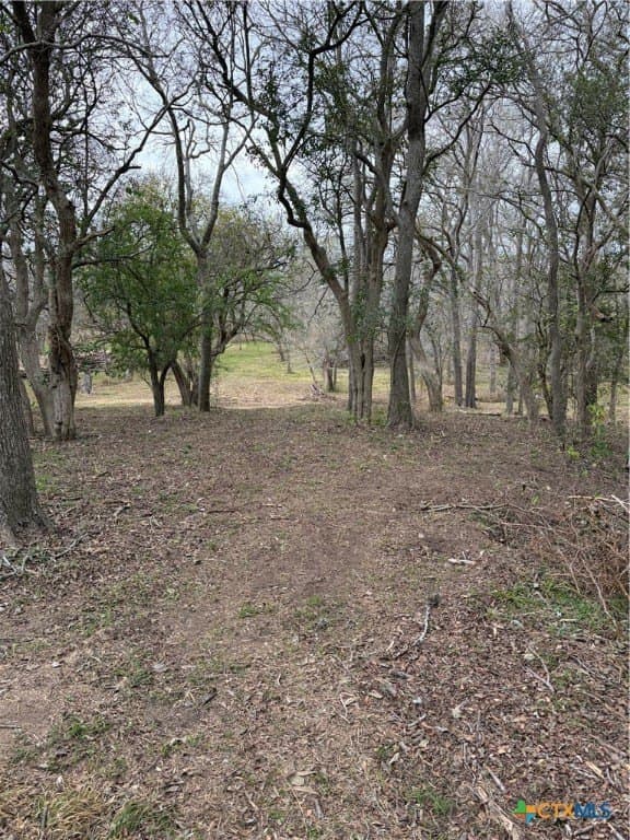 2.23 acres in DeWitt County - photo 4