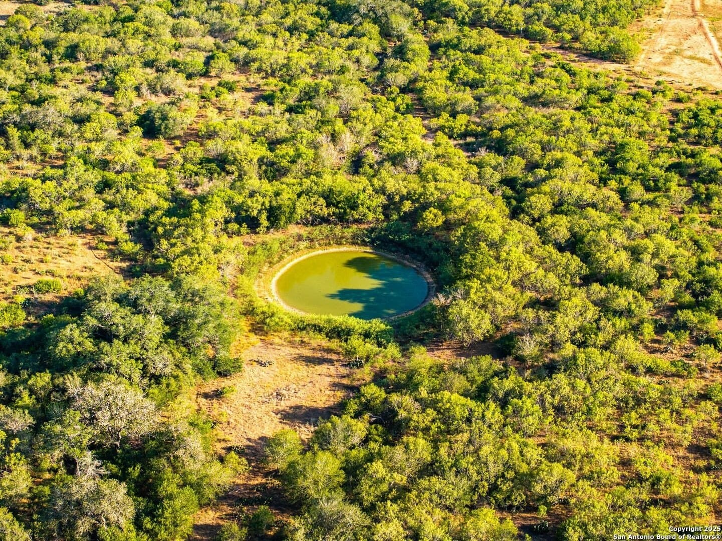 104.5 acres in Guadalupe County - photo 42