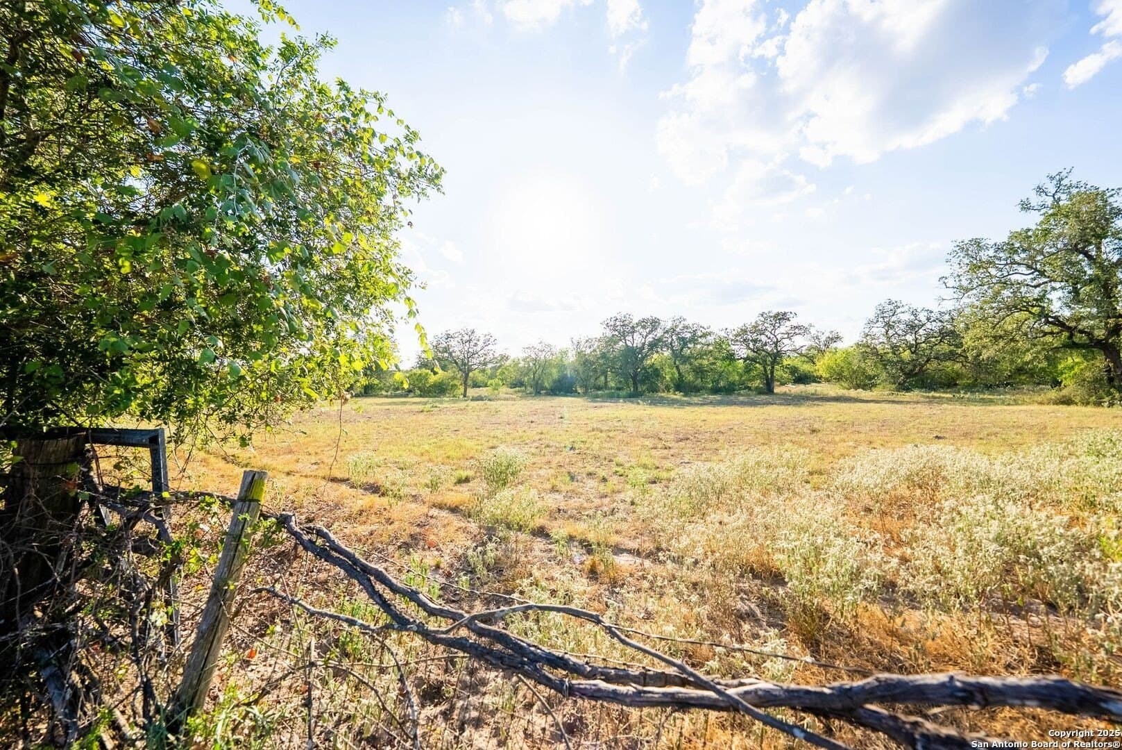 104.5 acres in Guadalupe County - photo 13