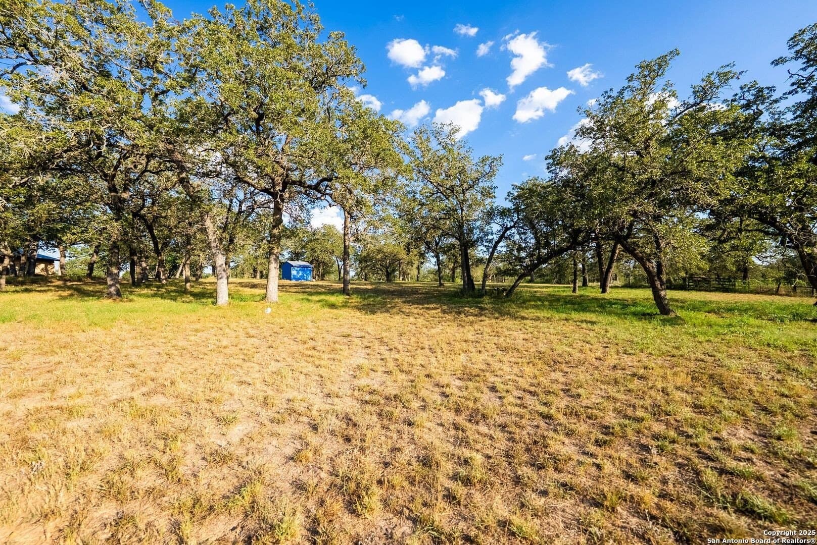 104.5 acres in Guadalupe County - photo 15