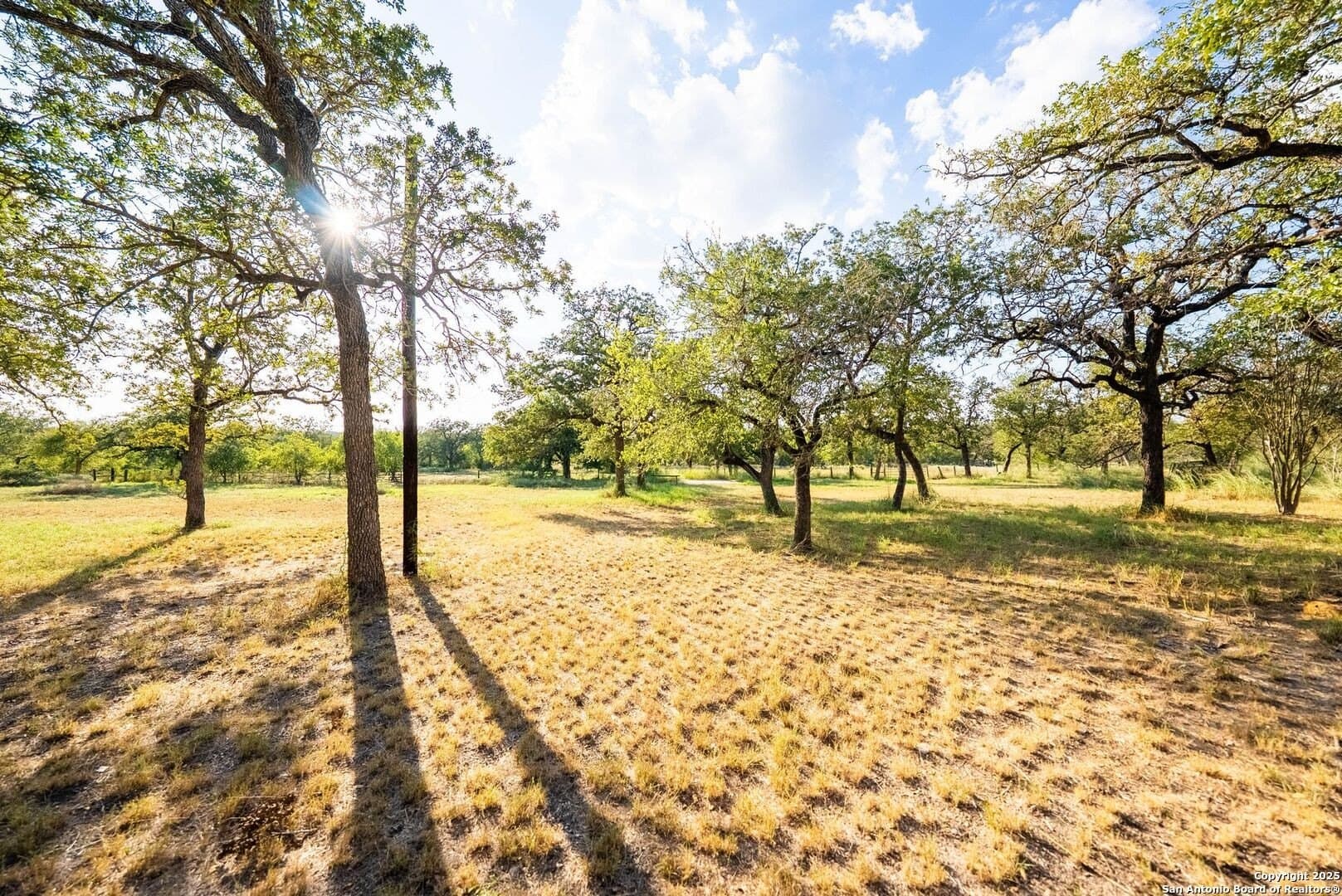 104.5 acres in Guadalupe County - photo 10