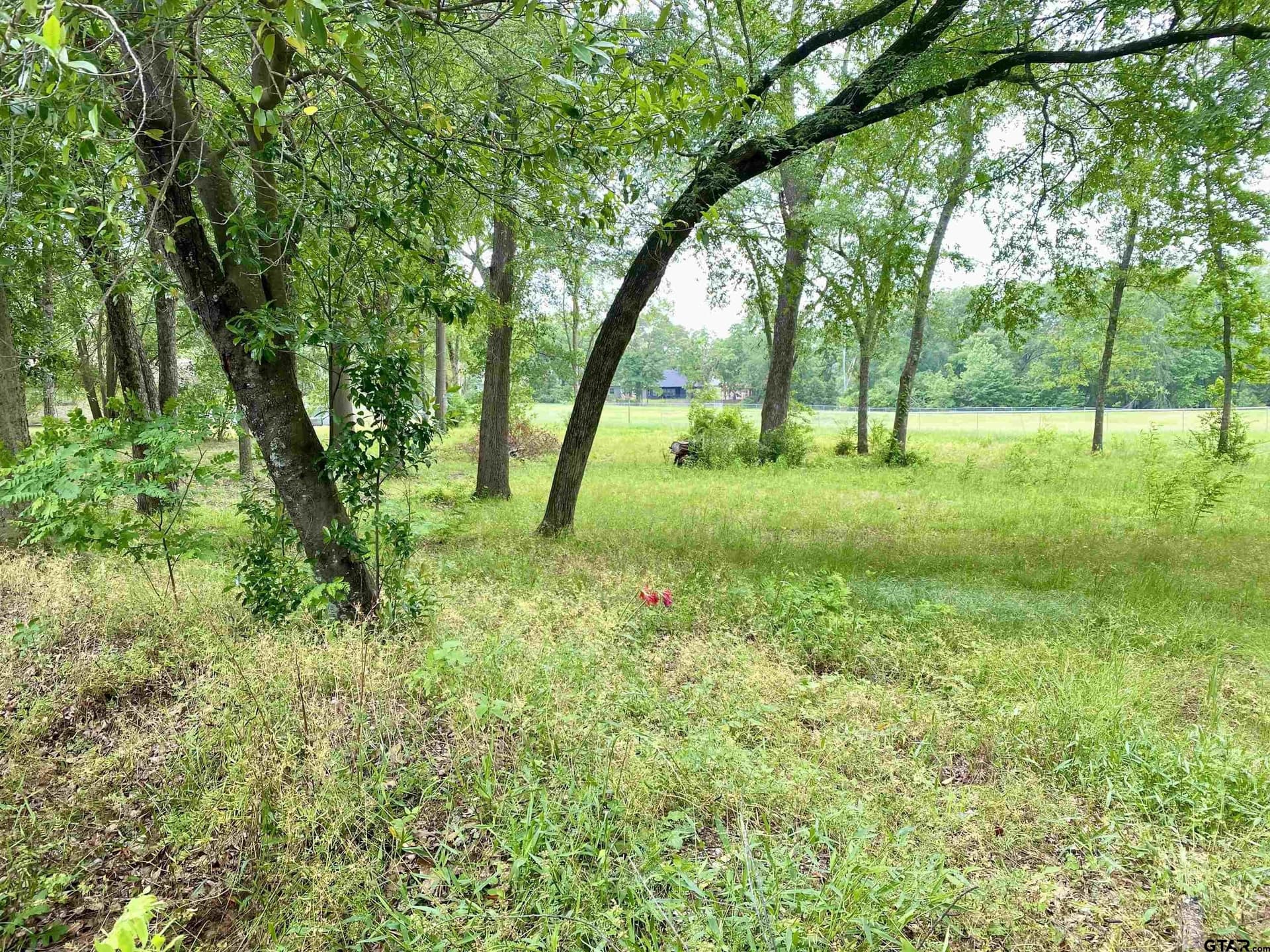 0.39 acres in Henderson County - photo 2