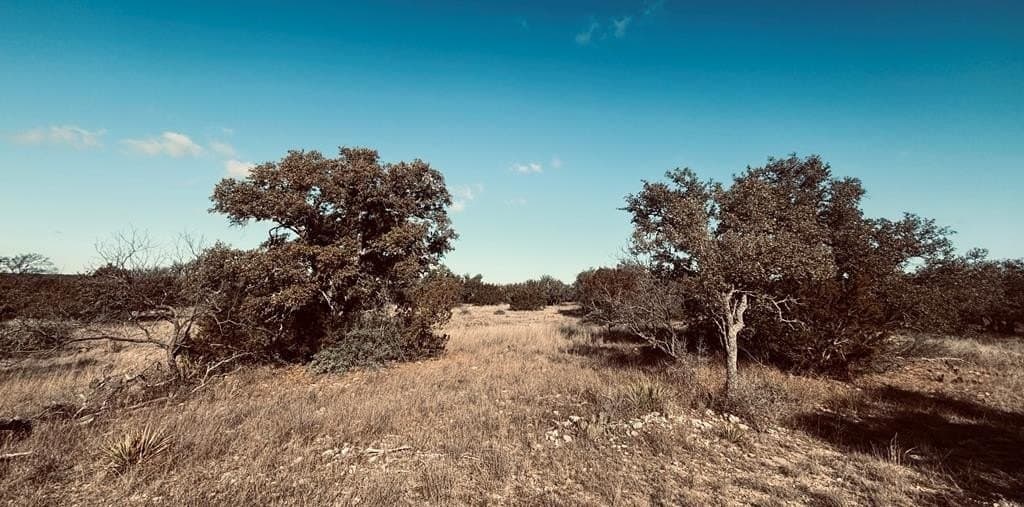 320 Turkey Run Road lot: 28