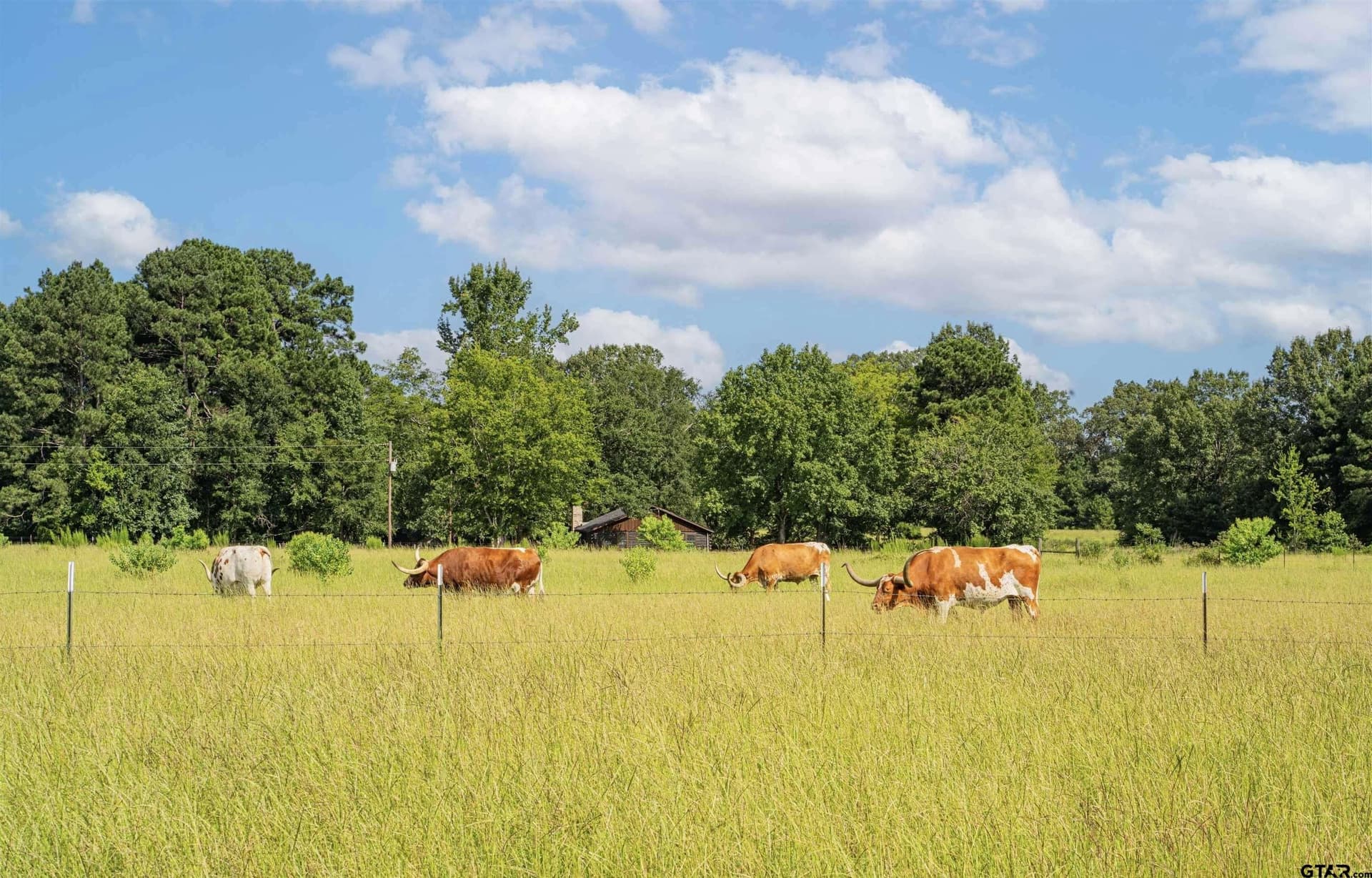 13 acres in Rusk County - photo 17
