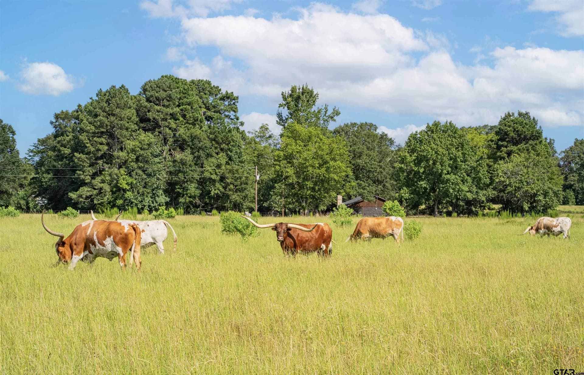 13 acres in Rusk County - photo 16