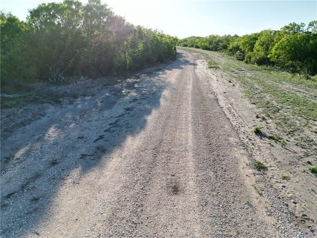 0 acres in Live Oak County - photo 2