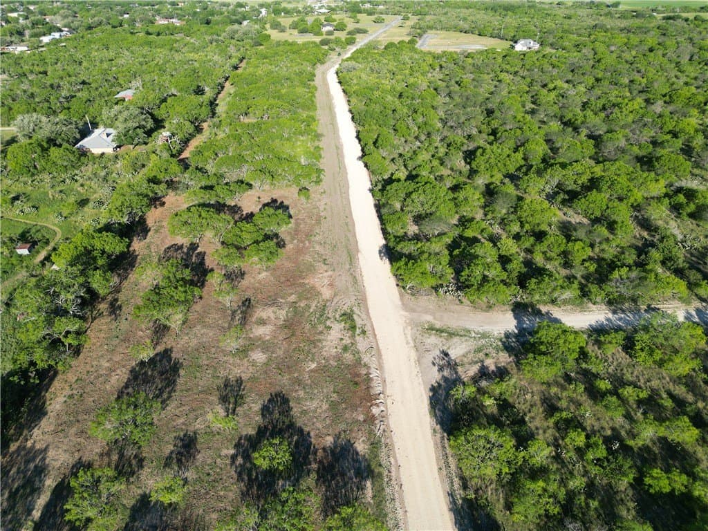 0 acres in Live Oak County - photo 3