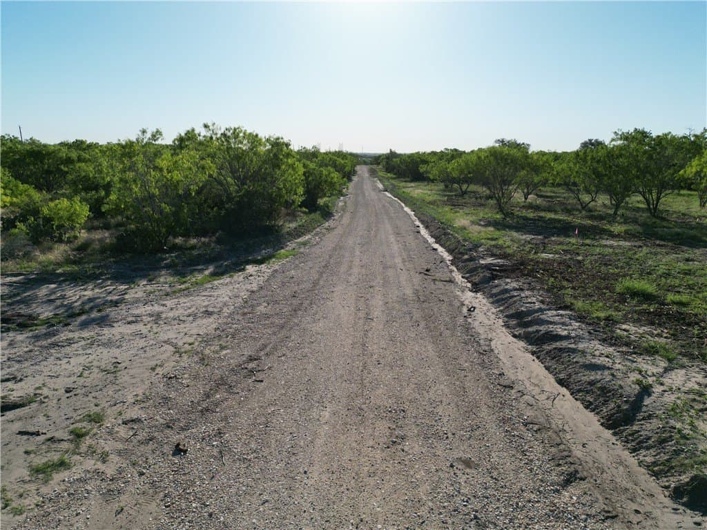 0 acres in Live Oak County - photo 4