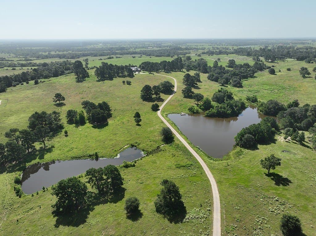 108.65 acres in Austin County - photo 2