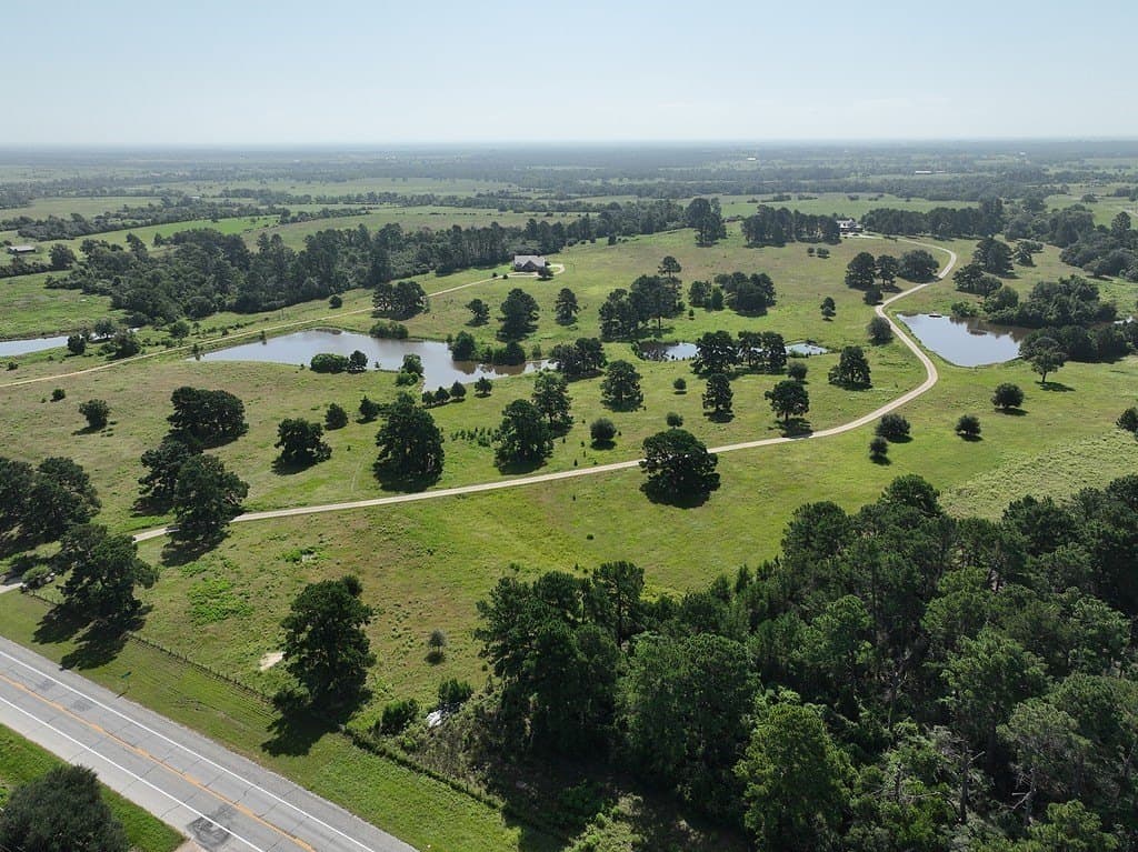 108.65 acres in Austin County - photo 28