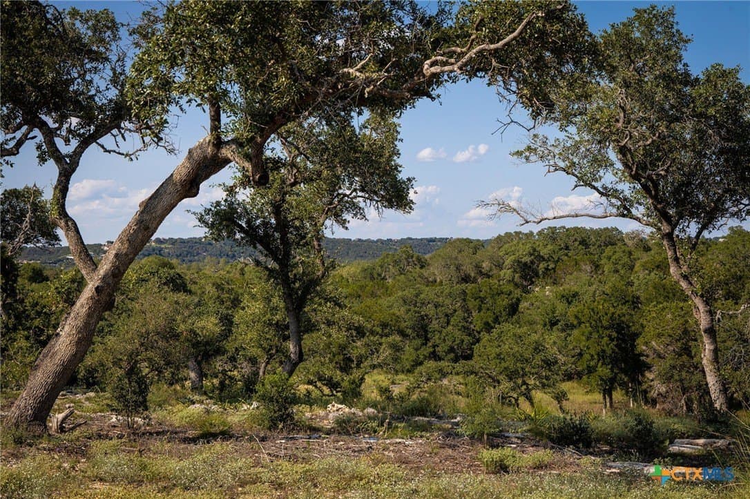 1.19 acres in Comal County - photo 9