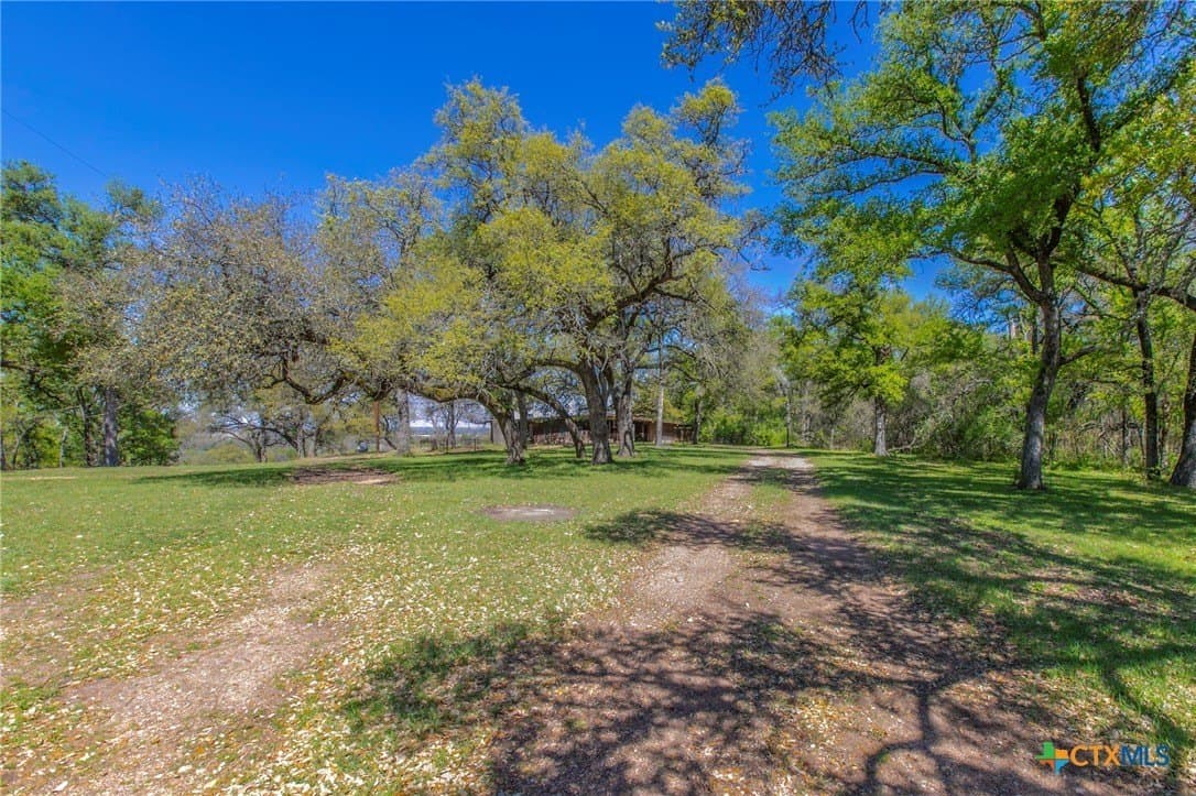 80.35 acres in Milam County - photo 24