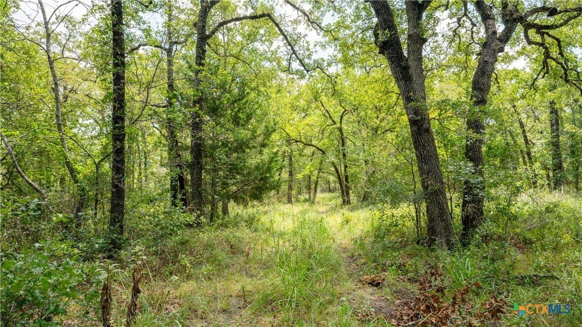 6 acres in Texas County - photo 4
