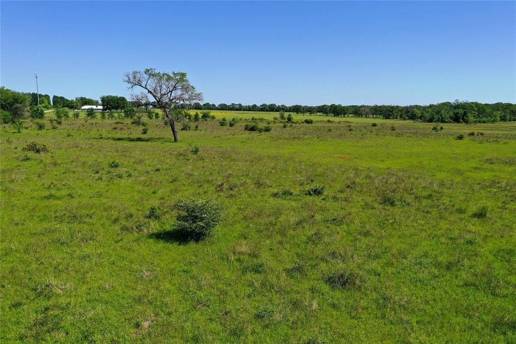 50 acres in Van Zandt County - photo 23