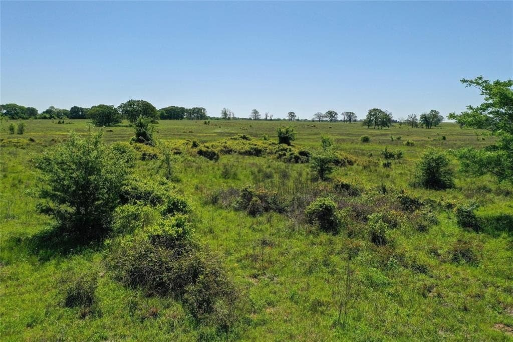 50 acres in Van Zandt County - photo 29