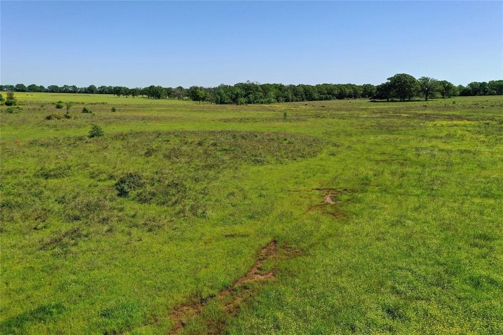 50 acres in Van Zandt County - photo 14