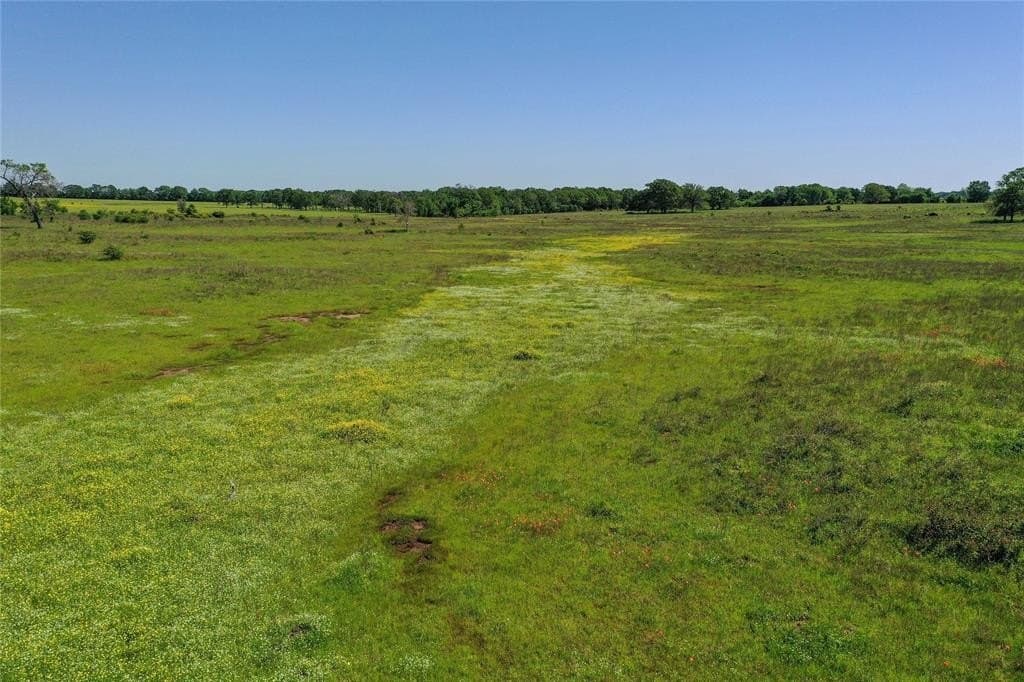 50 acres in Van Zandt County - photo 22
