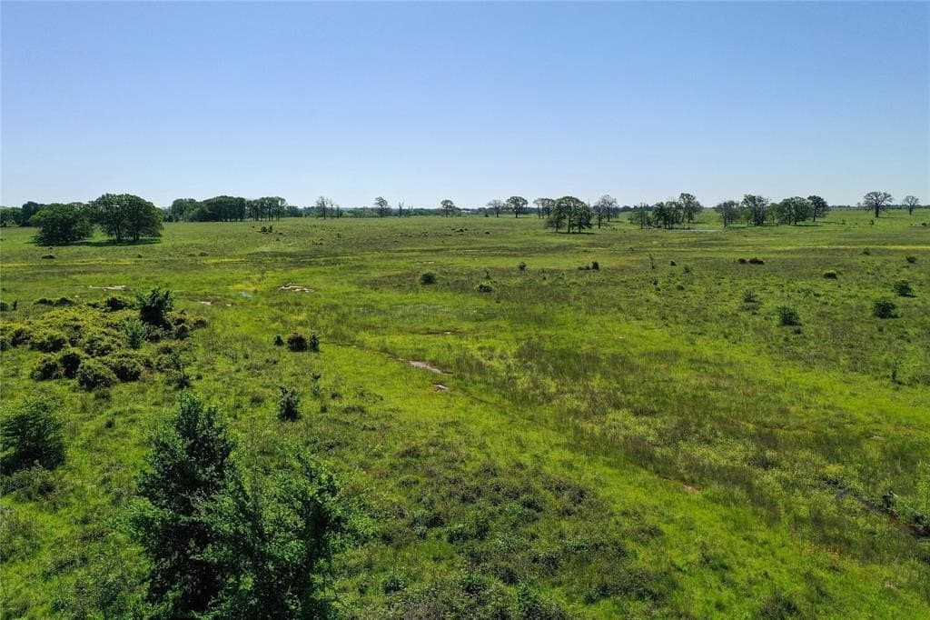 50 acres in Van Zandt County - photo 9