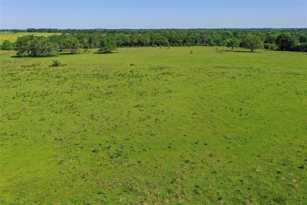 50 acres in Van Zandt County - photo 17