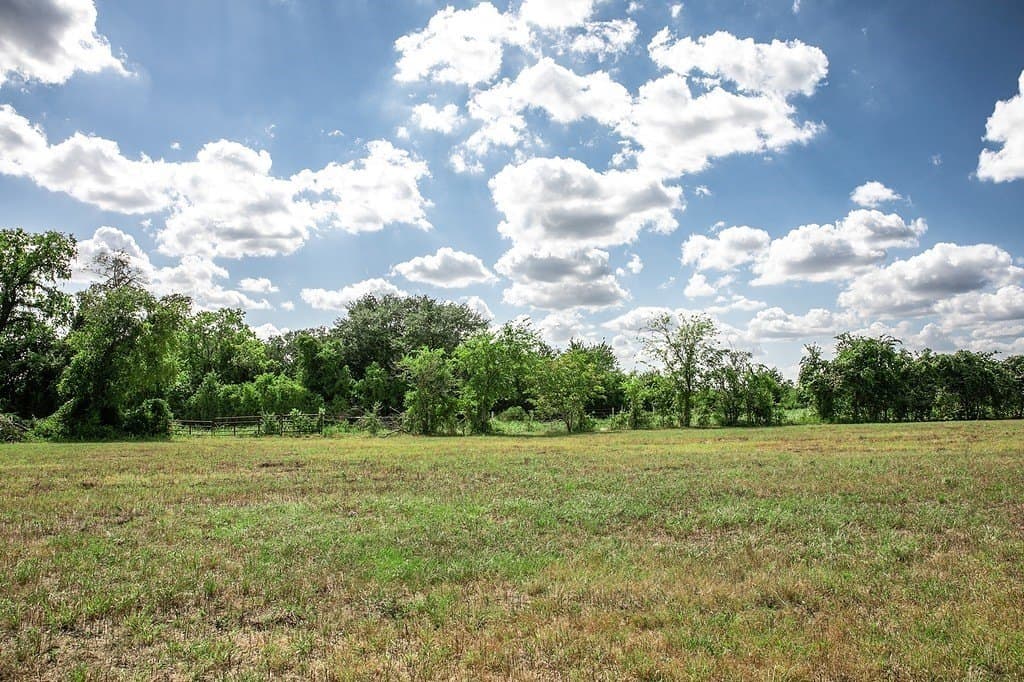 15 acres in Washington County - photo 3