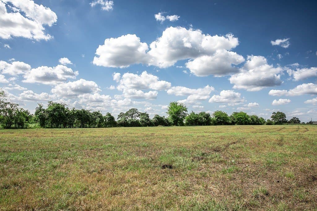 15 acres in Washington County - photo 4