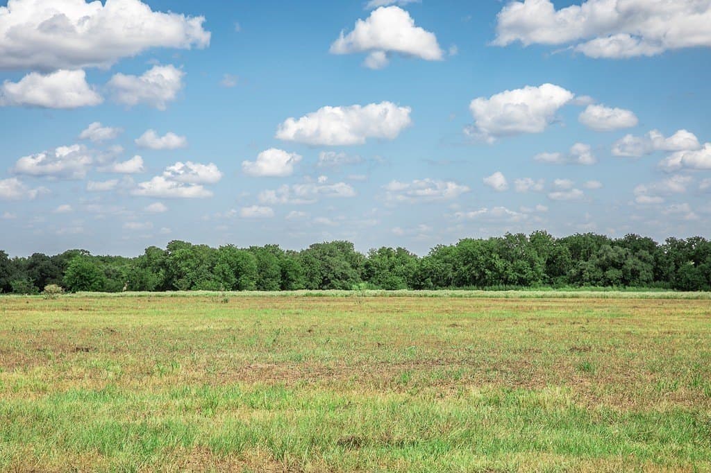 15 acres in Washington County - photo 5