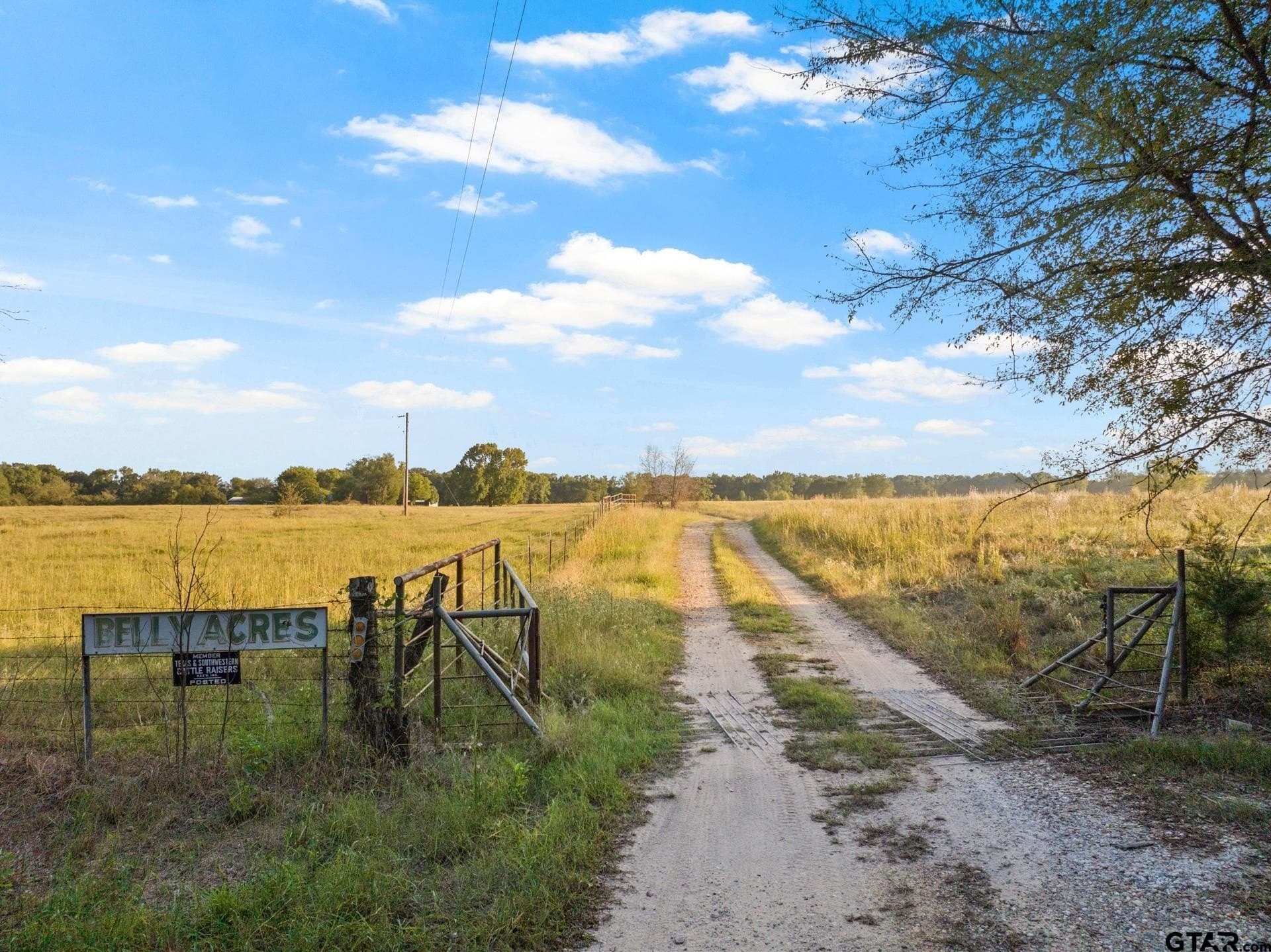 316.87 acres in Red River County - photo 34