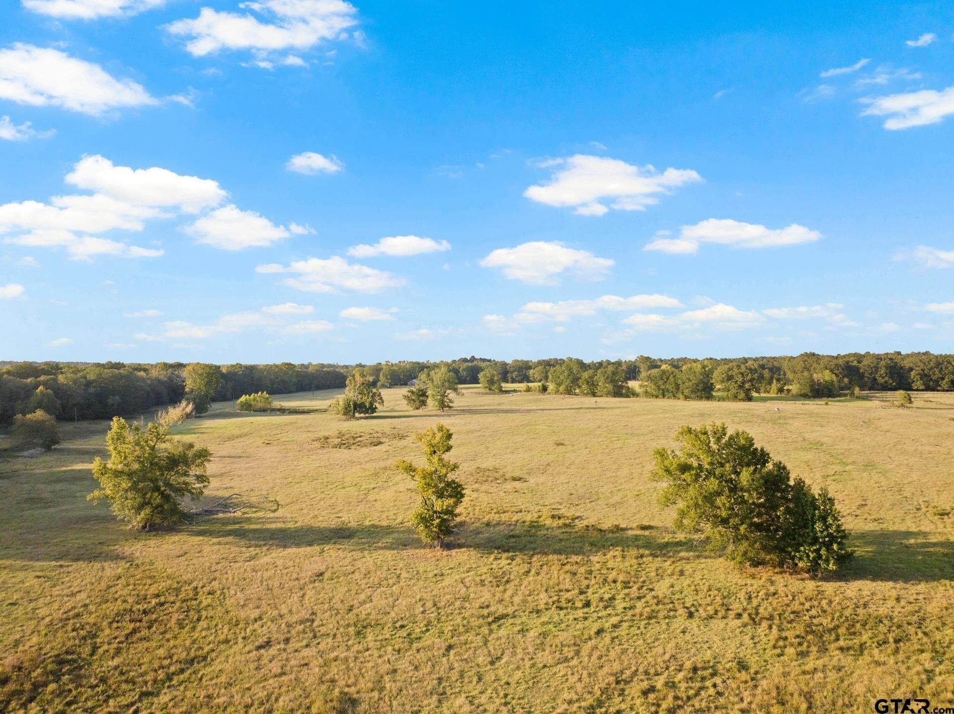 316.87 acres in Red River County - photo 33