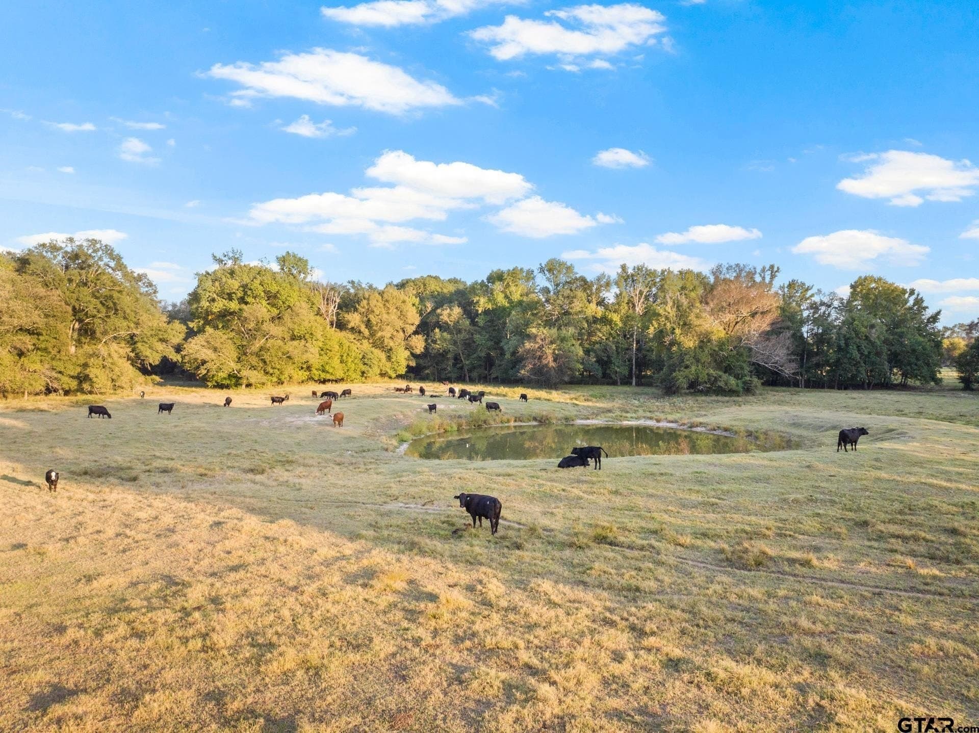 316.87 acres in Red River County - photo 39