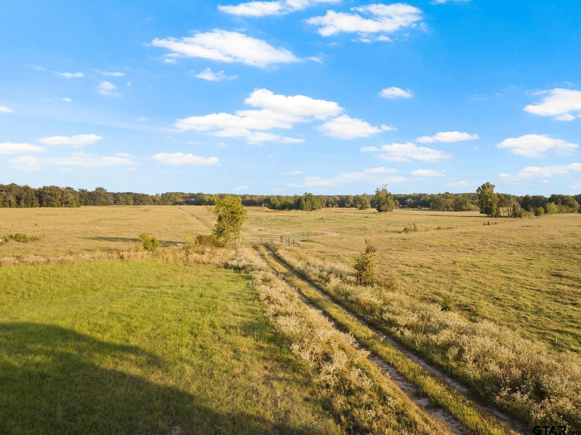 316.87 acres in Red River County - photo 30
