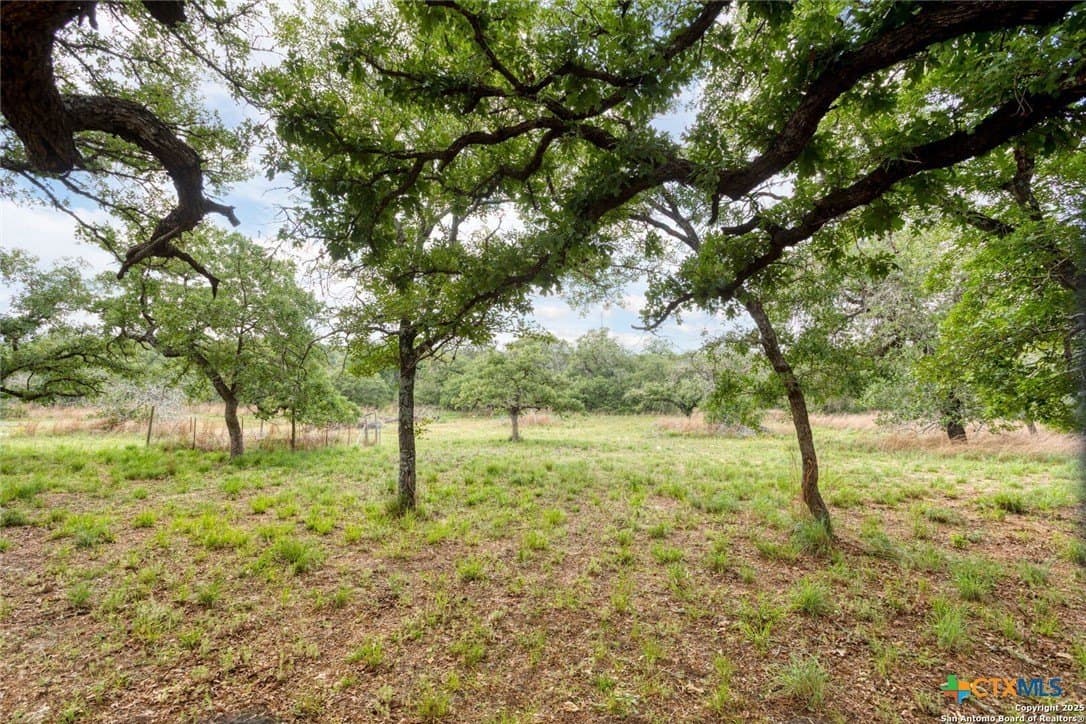 10 acres in Guadalupe County - photo 38