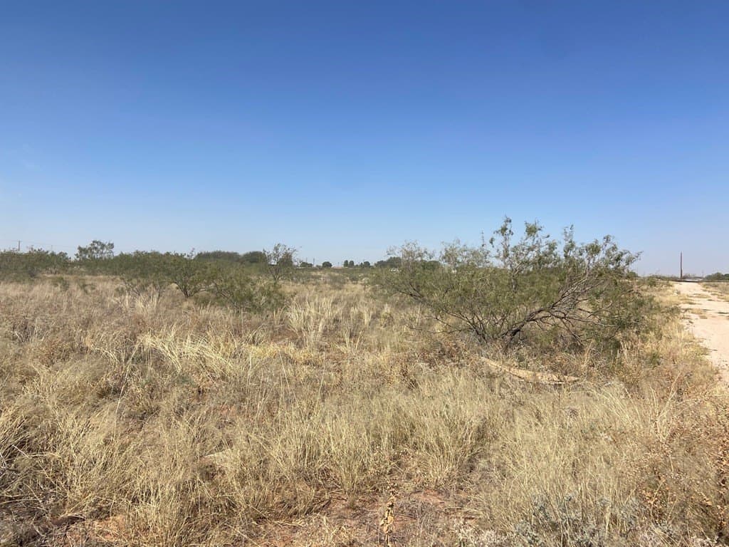 1.28 acres in Midland County - photo 3