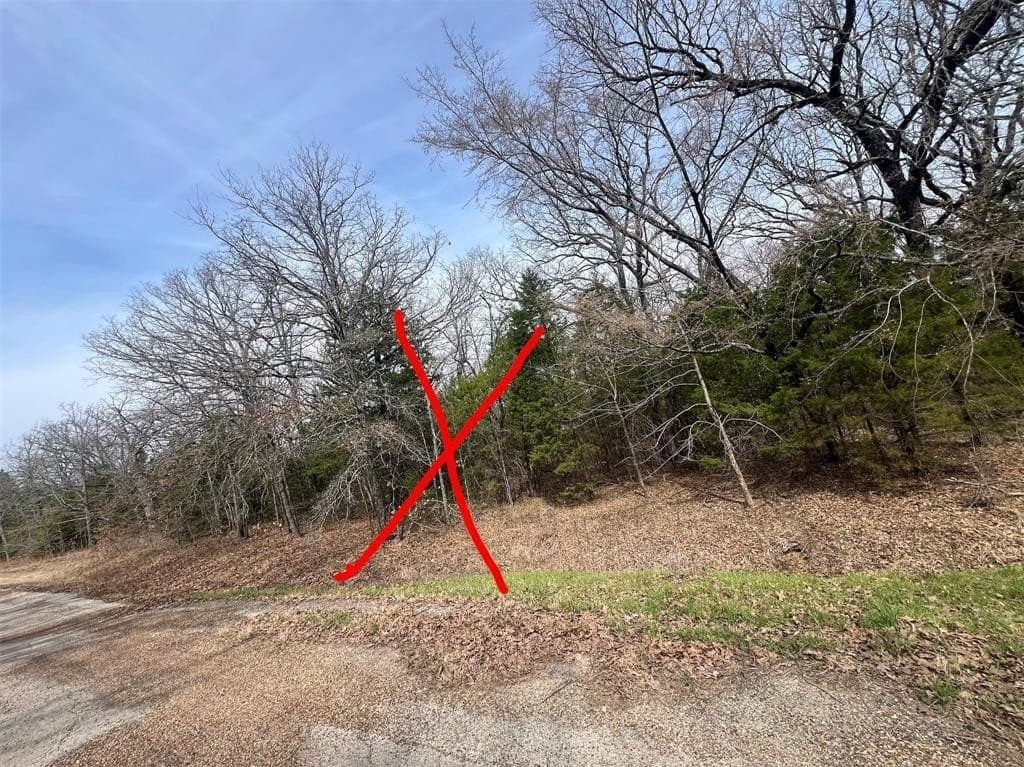 0.07 acres in Henderson County - photo 3