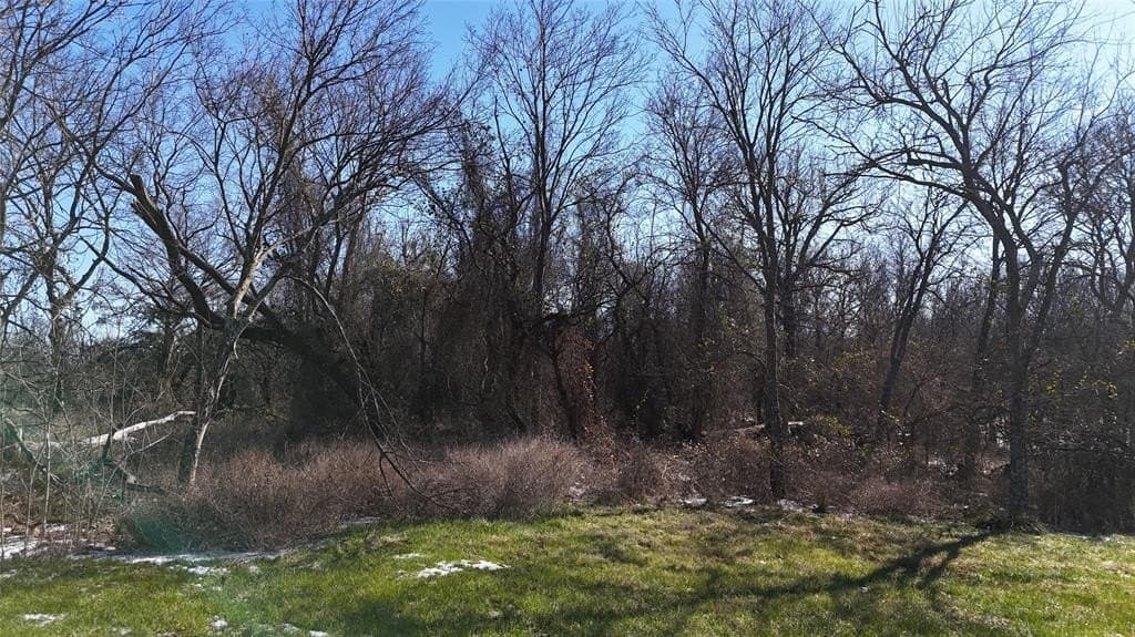 1.01 acres in Navarro County - photo 11