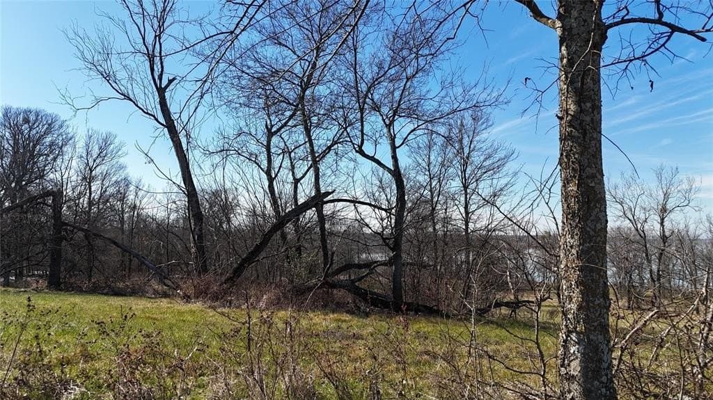 1.01 acres in Navarro County - photo 7