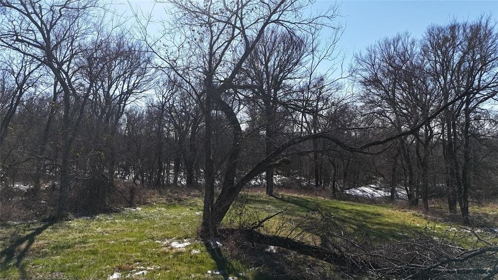 1.01 acres in Navarro County - photo 12
