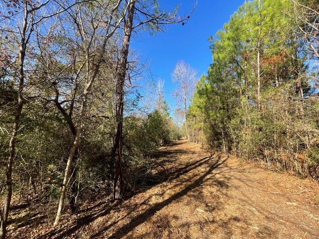 6.64 acres in Polk County - photo 9