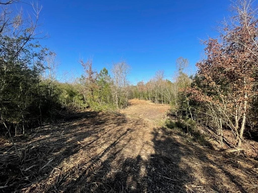 6.64 acres in Polk County - photo 16