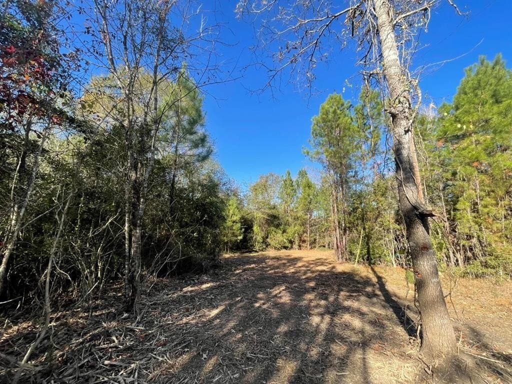 6.64 acres in Polk County - photo 20