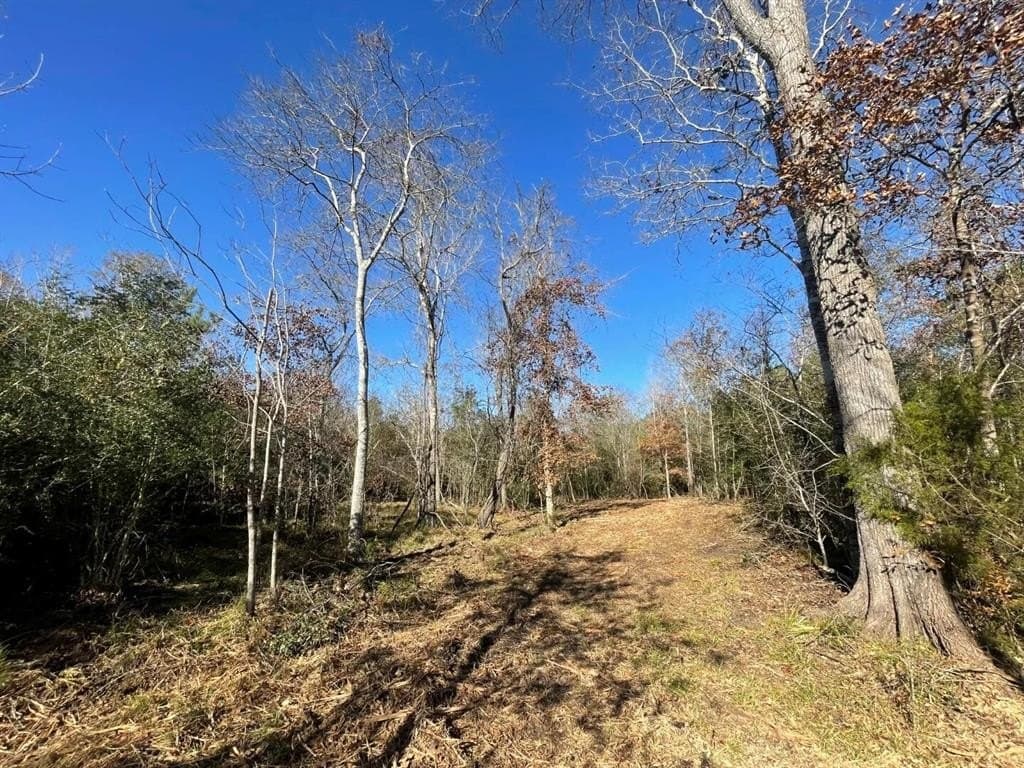 6.64 acres in Polk County - photo 12