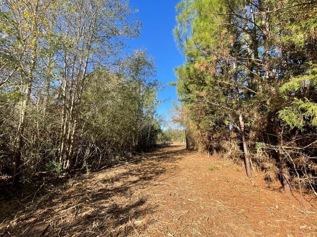 6.64 acres in Polk County - photo 10