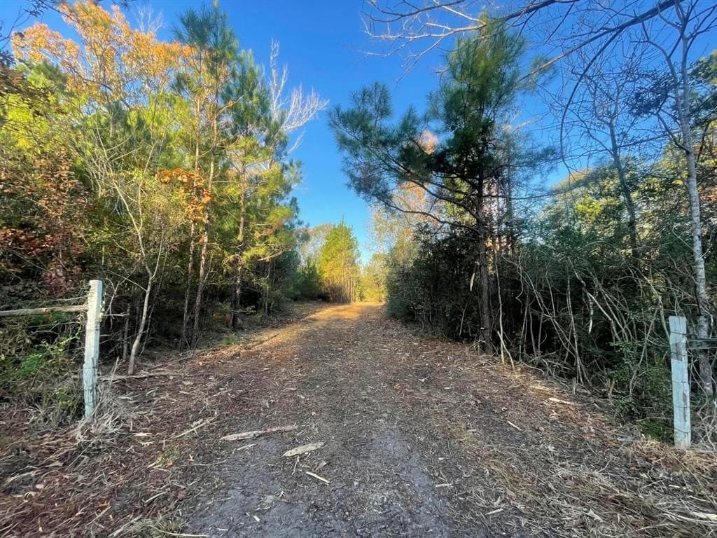 6.64 acres in Polk County - photo 29