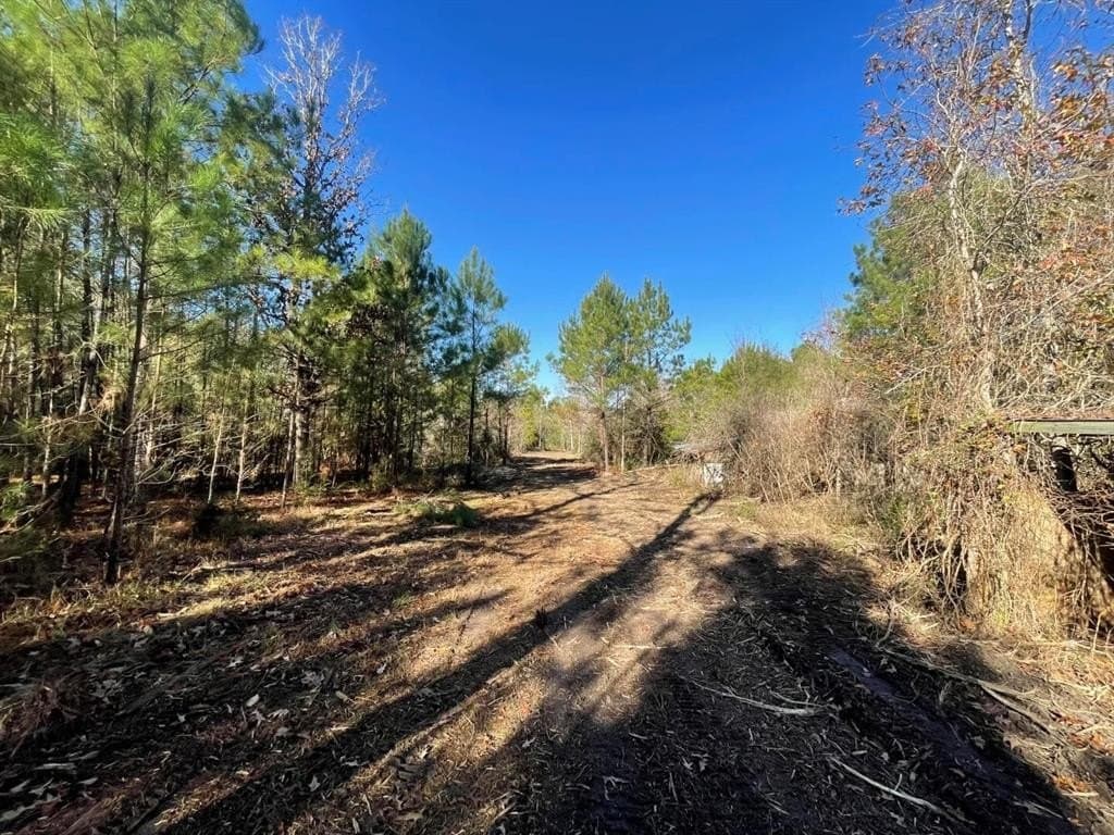 6.64 acres in Polk County - photo 19