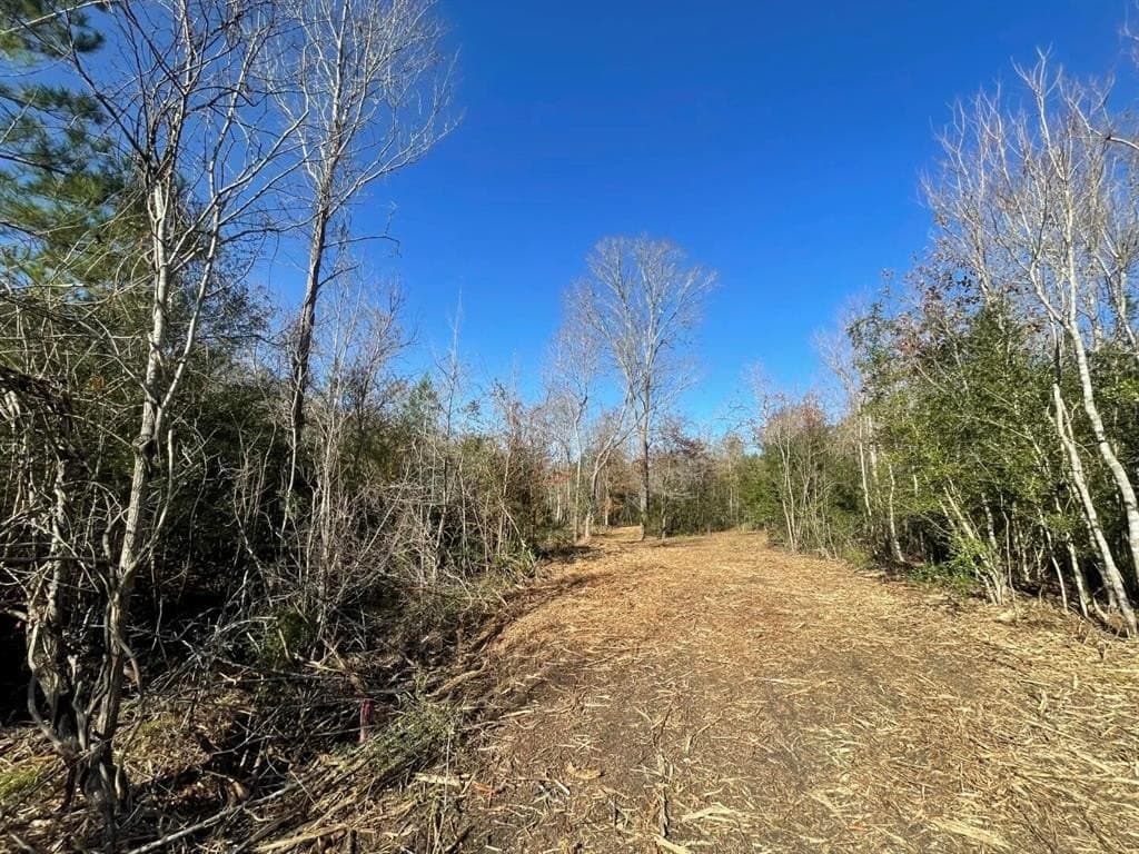 6.64 acres in Polk County - photo 15