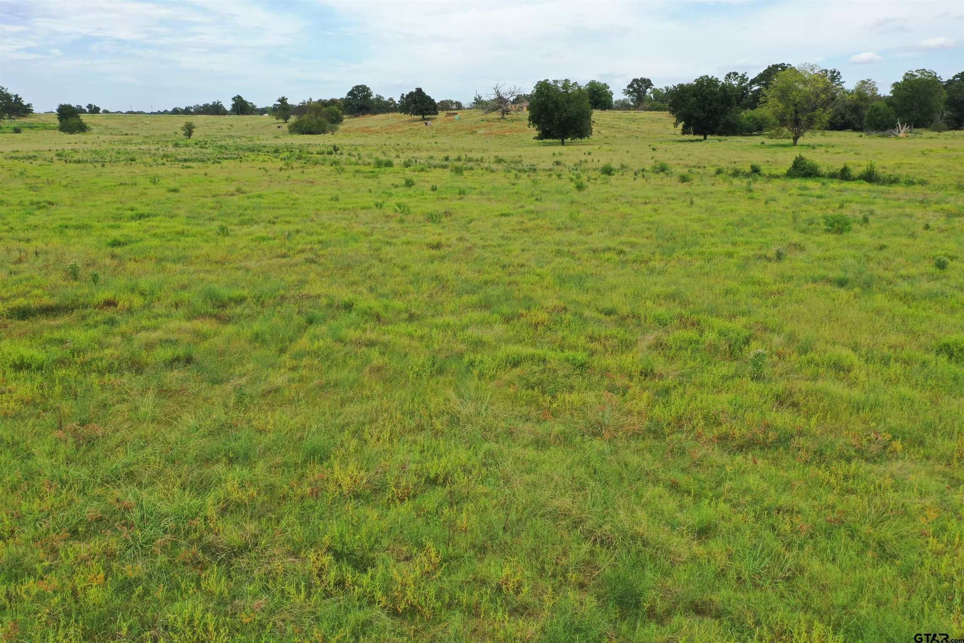 109 acres in Titus County - photo 5
